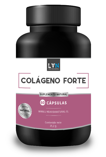COLAGENO FORTE 500 mg cap X 60