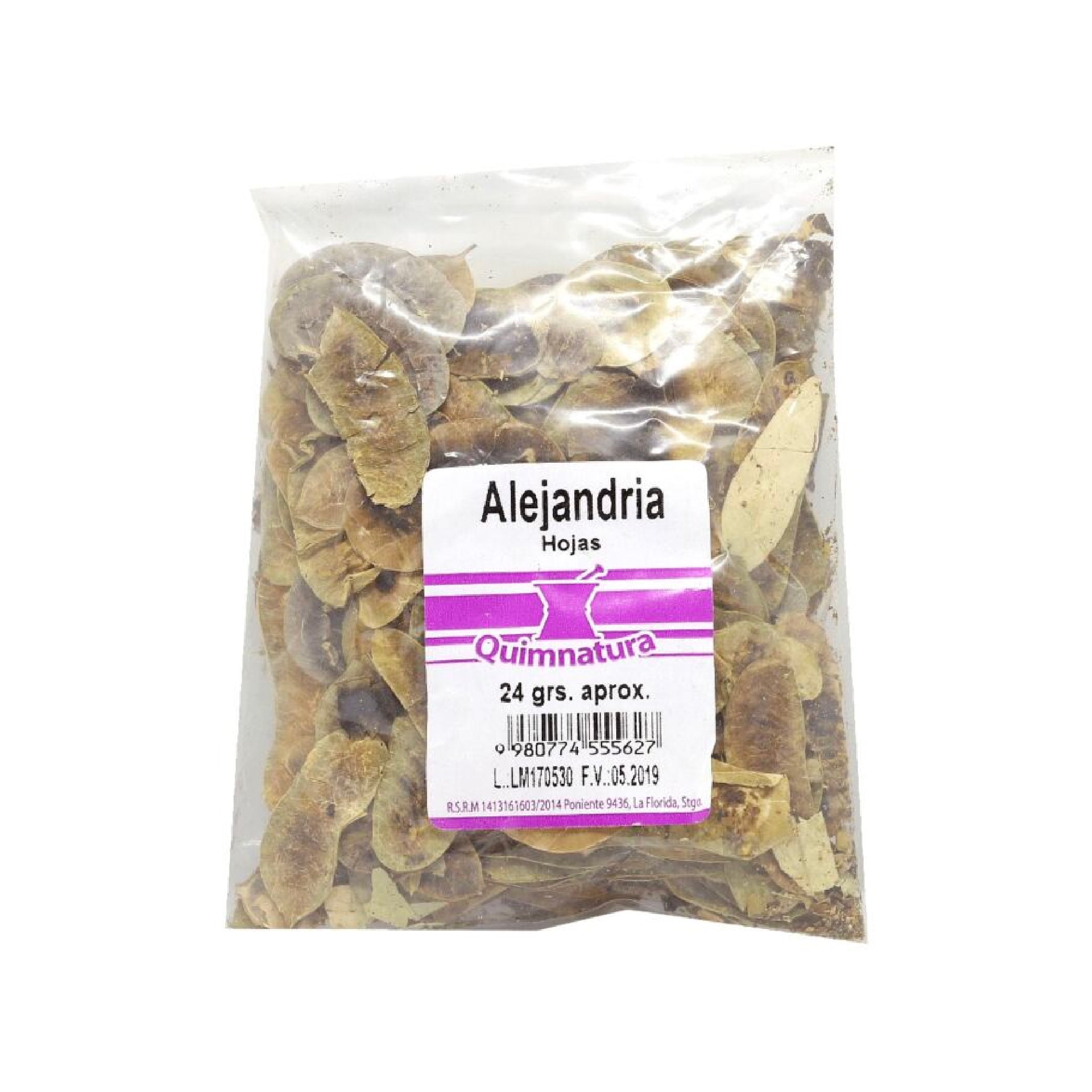 ALEJANDRIA HOJAS X24 GR