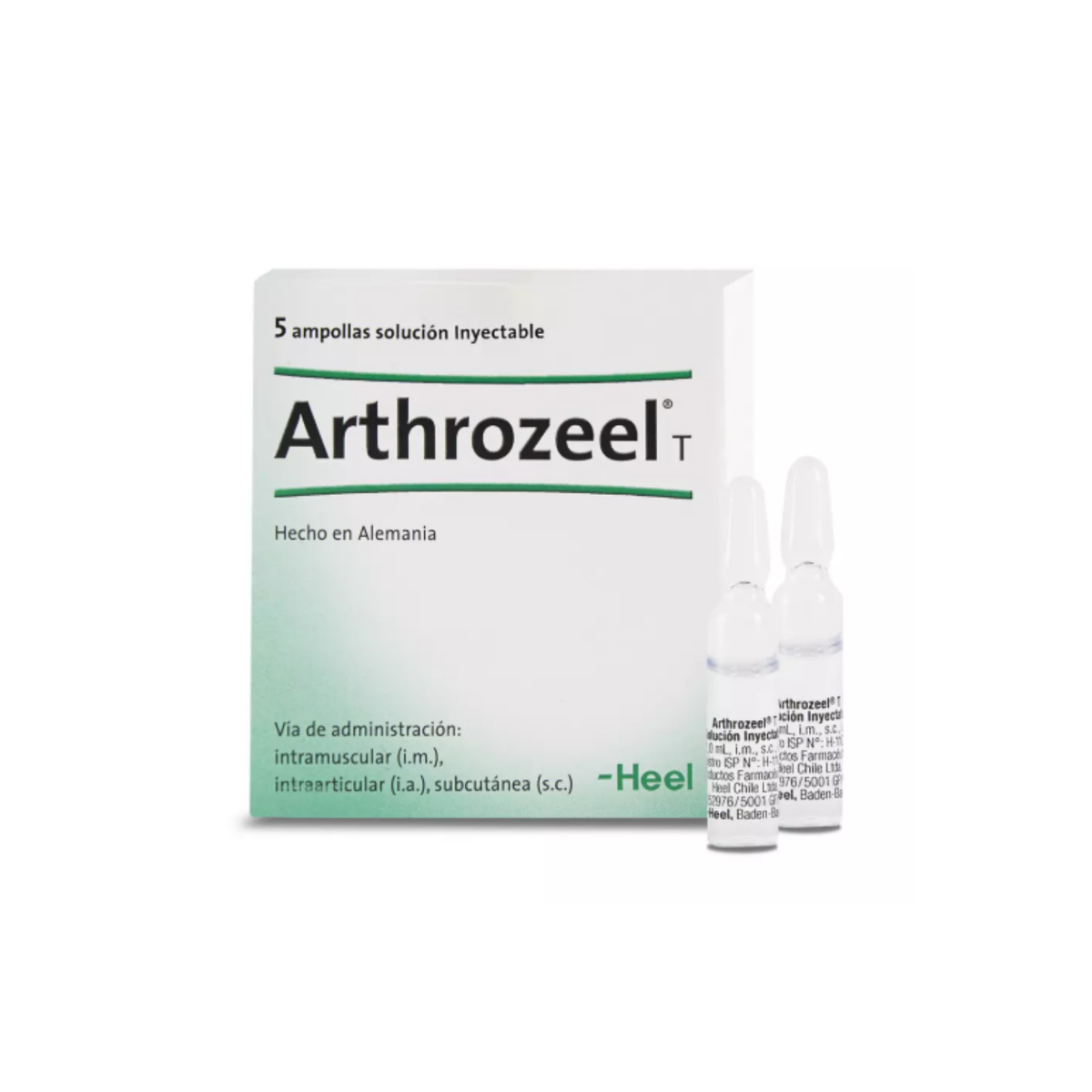 Heel Arthrozeel T Ampollas Estuche x 5