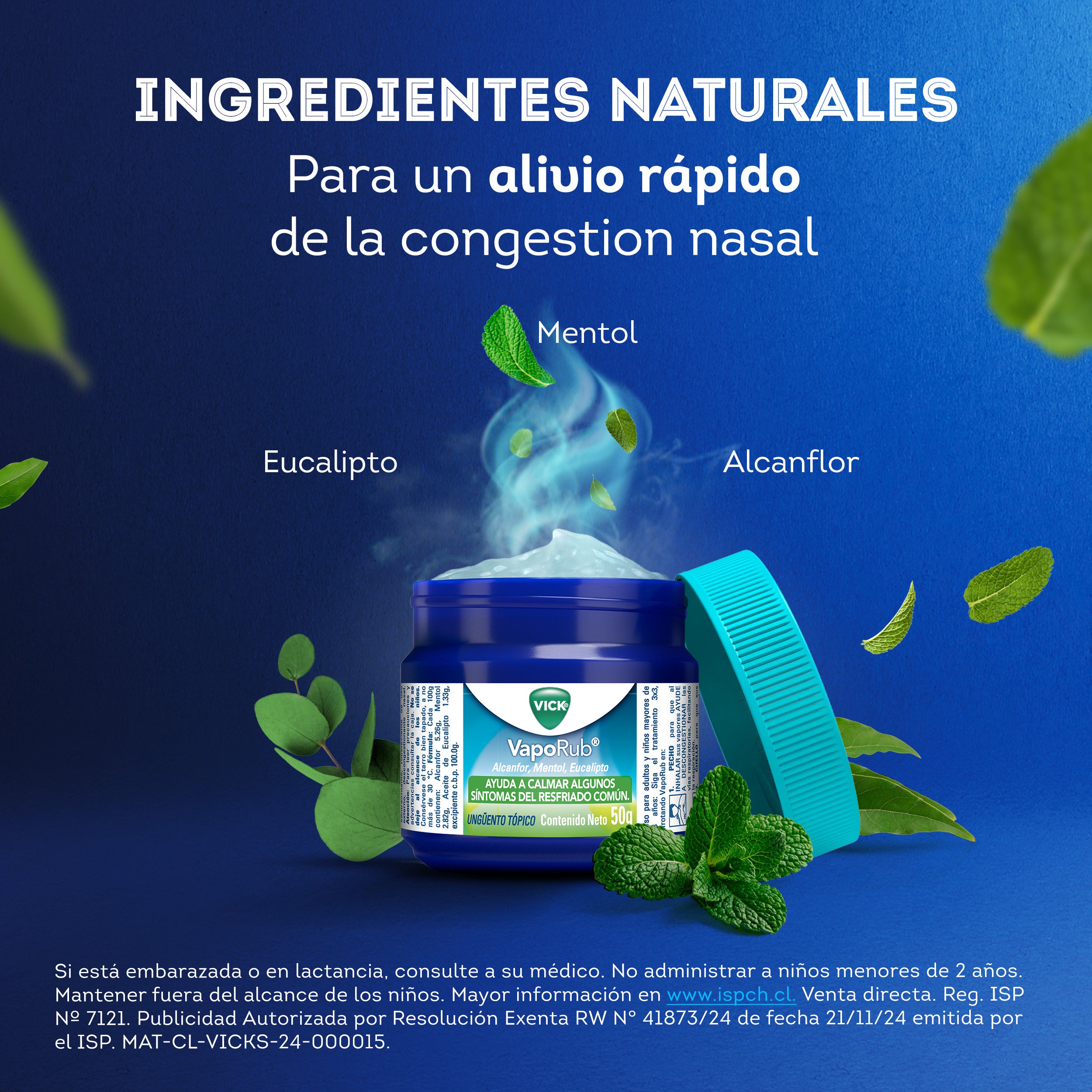 VAPORUB UNG. POTE 50GR