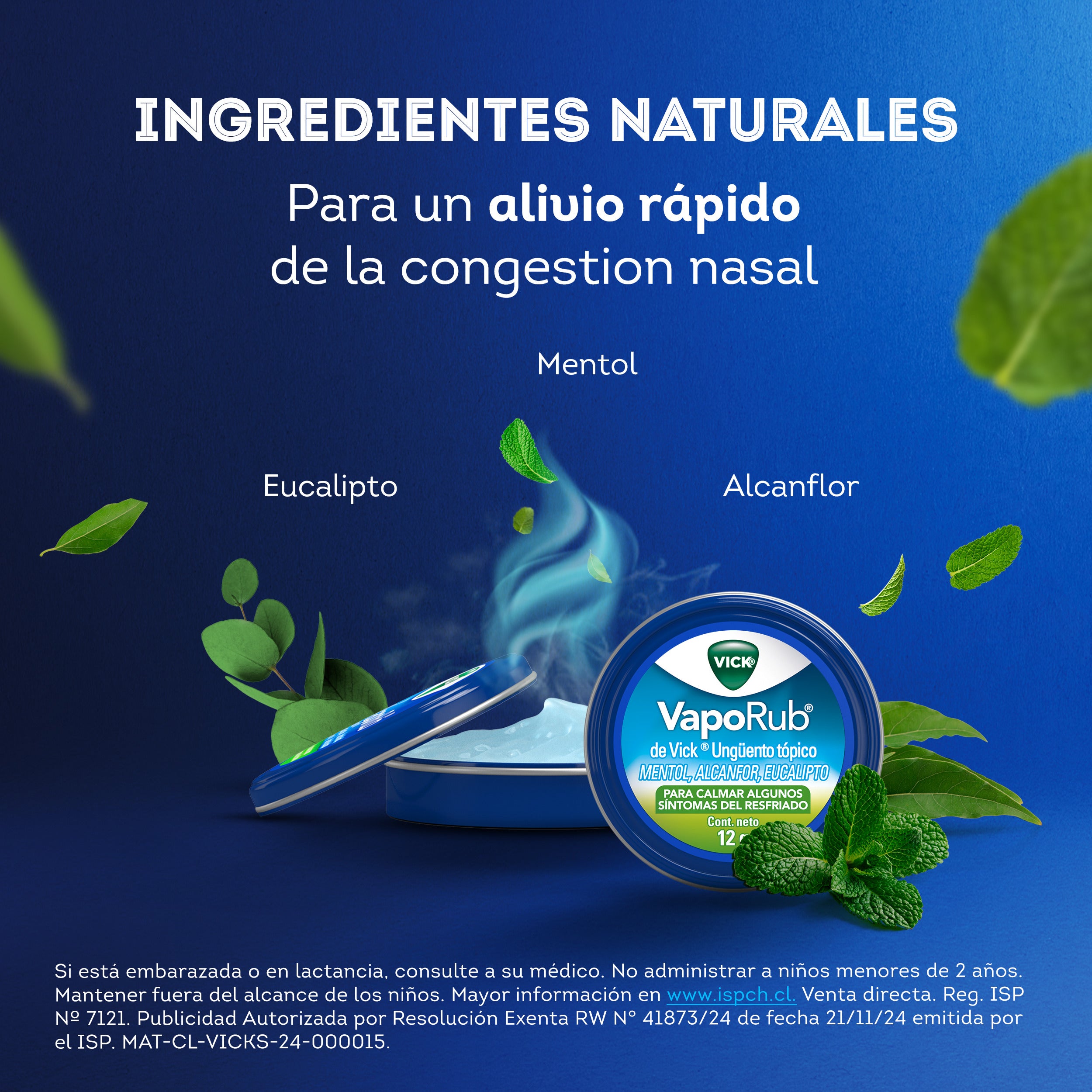 VAPORUB ungüento X12g