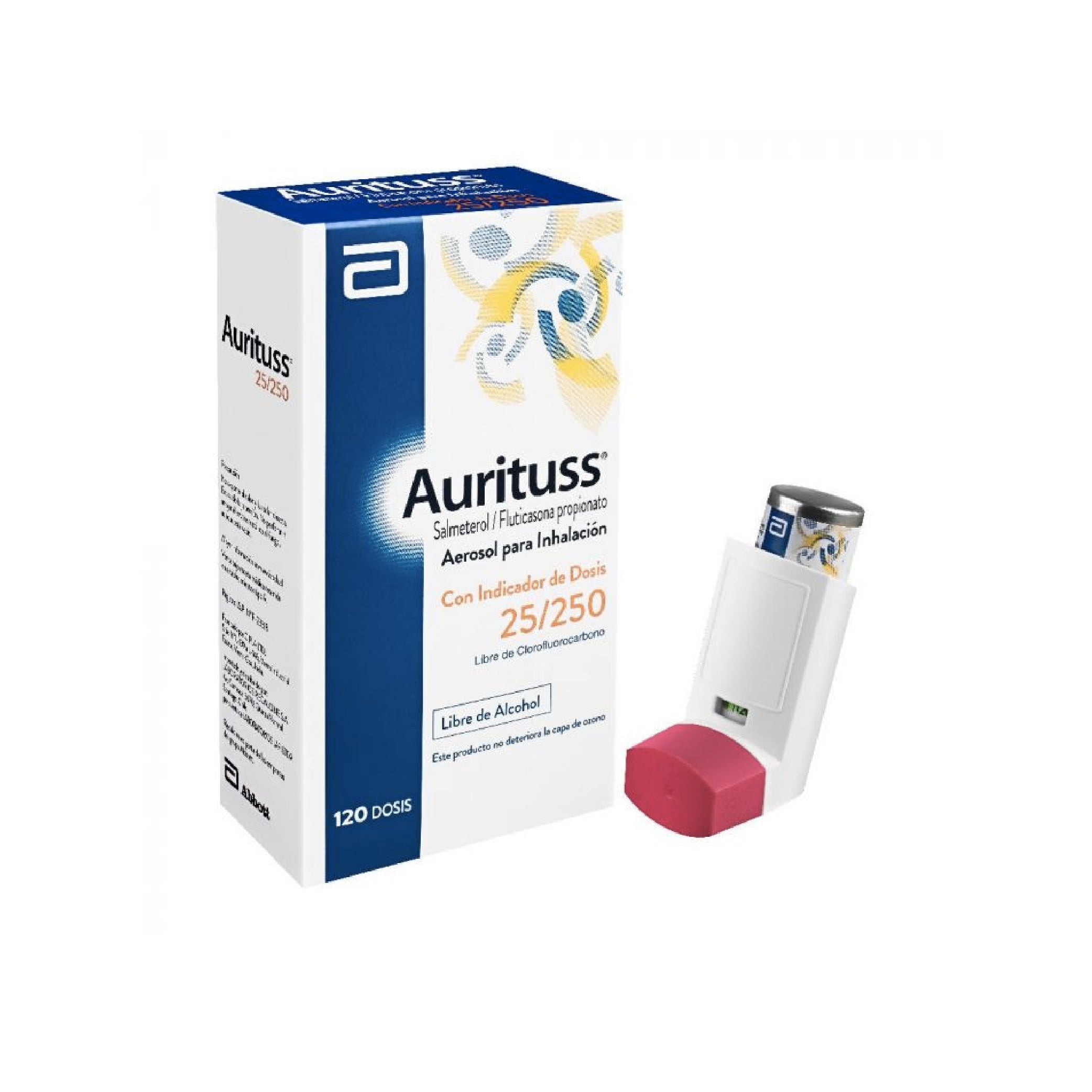 AURITUSS INH DOSIS 25/250MCG X120